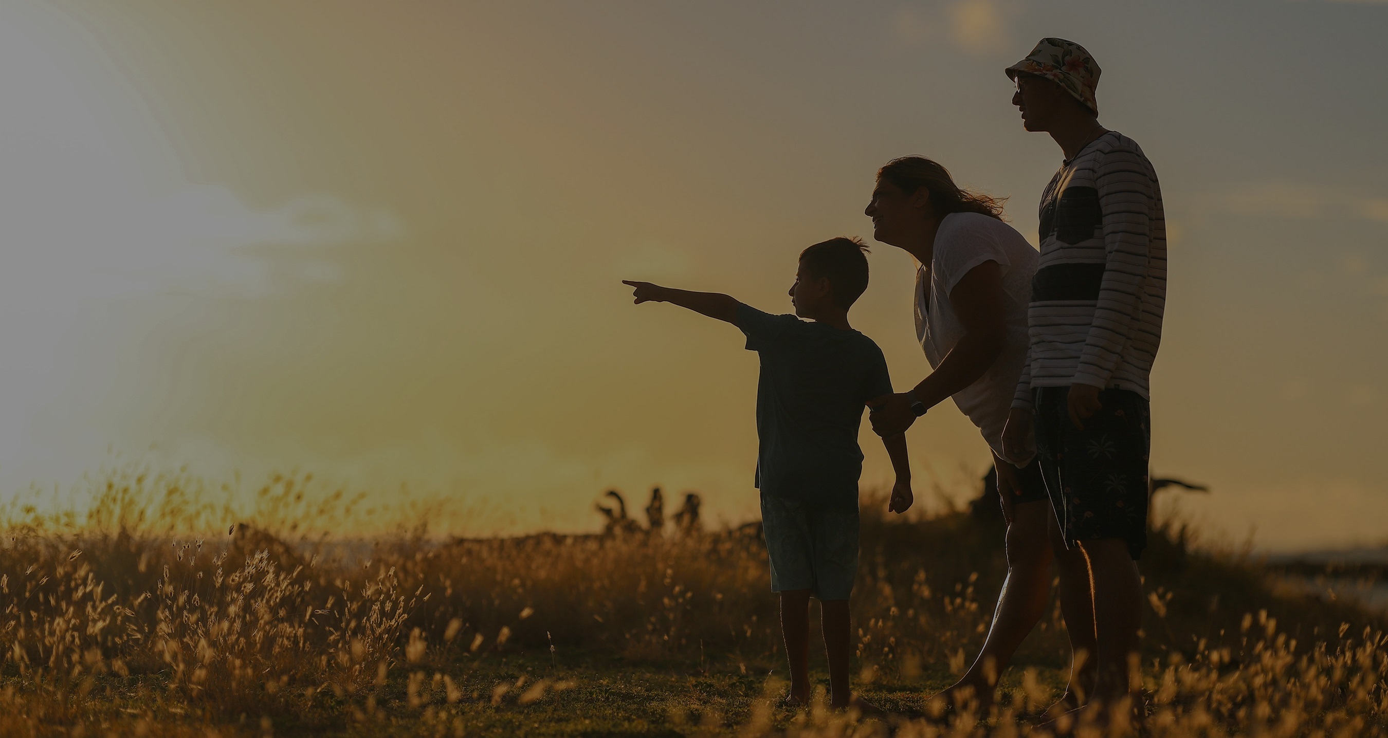 India stands tall among emerging markets